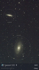 Galassia M81